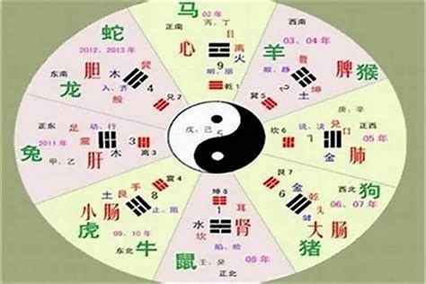 靖的五行|靖字的五行属什么